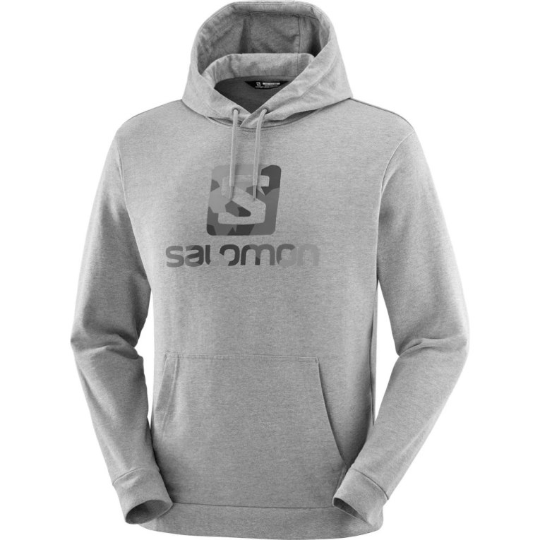 Moletom Com Capuz Salomon Outlife Logo Summer Heather Feminino Cinzentas | PT A42719